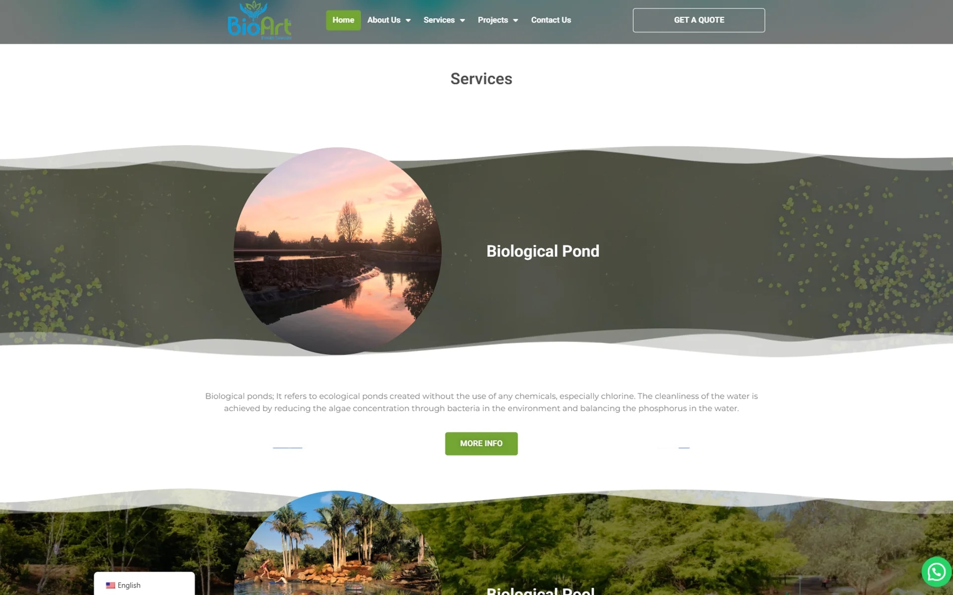 The BioArt ecological-pond site on desktop