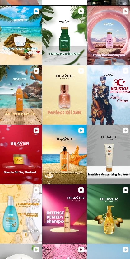 The feed at a glance