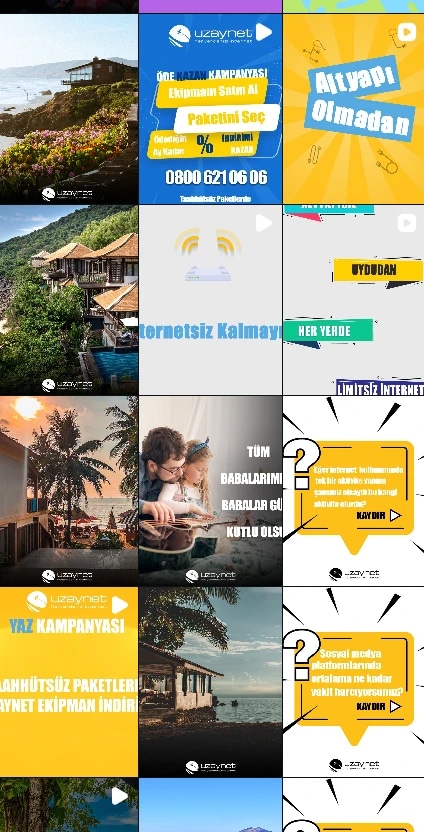 The feed at a glance