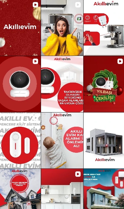 The feed at a glance